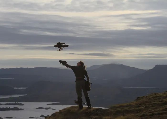 Hotell The At Ashford Castle