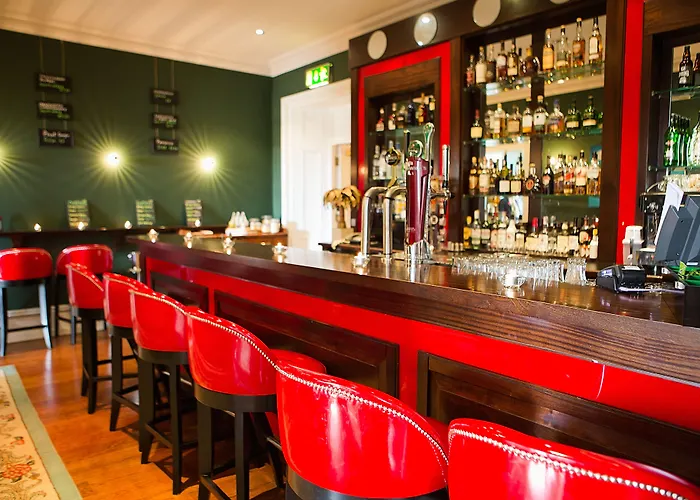 阿什福德城堡别墅 酒店 康镇