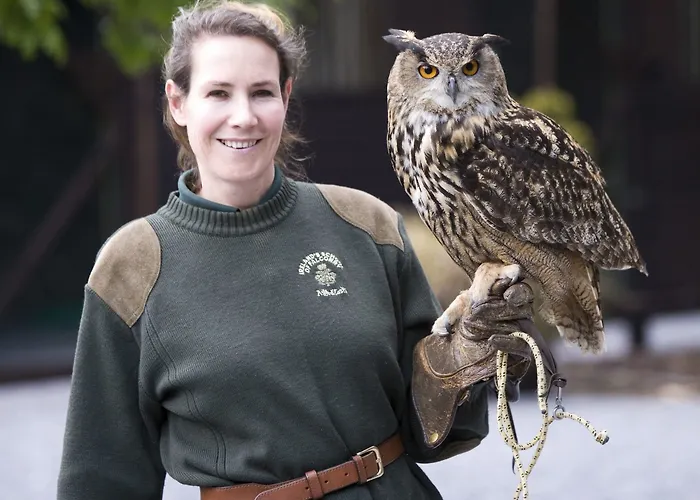 Hotell The At Ashford Castle