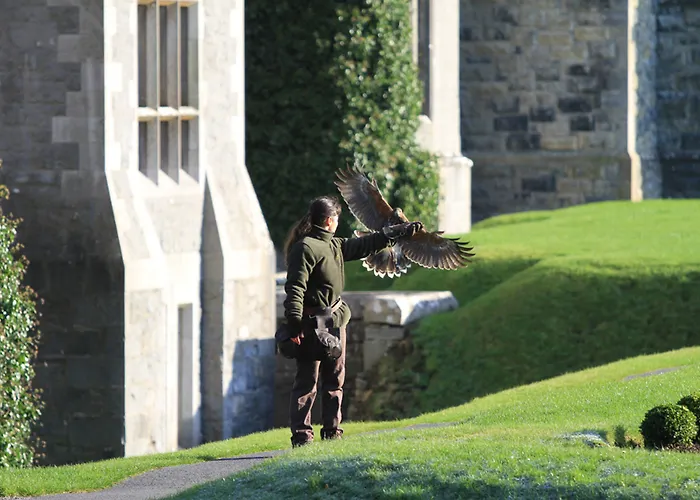 Отель The At Ashford Castle 4*